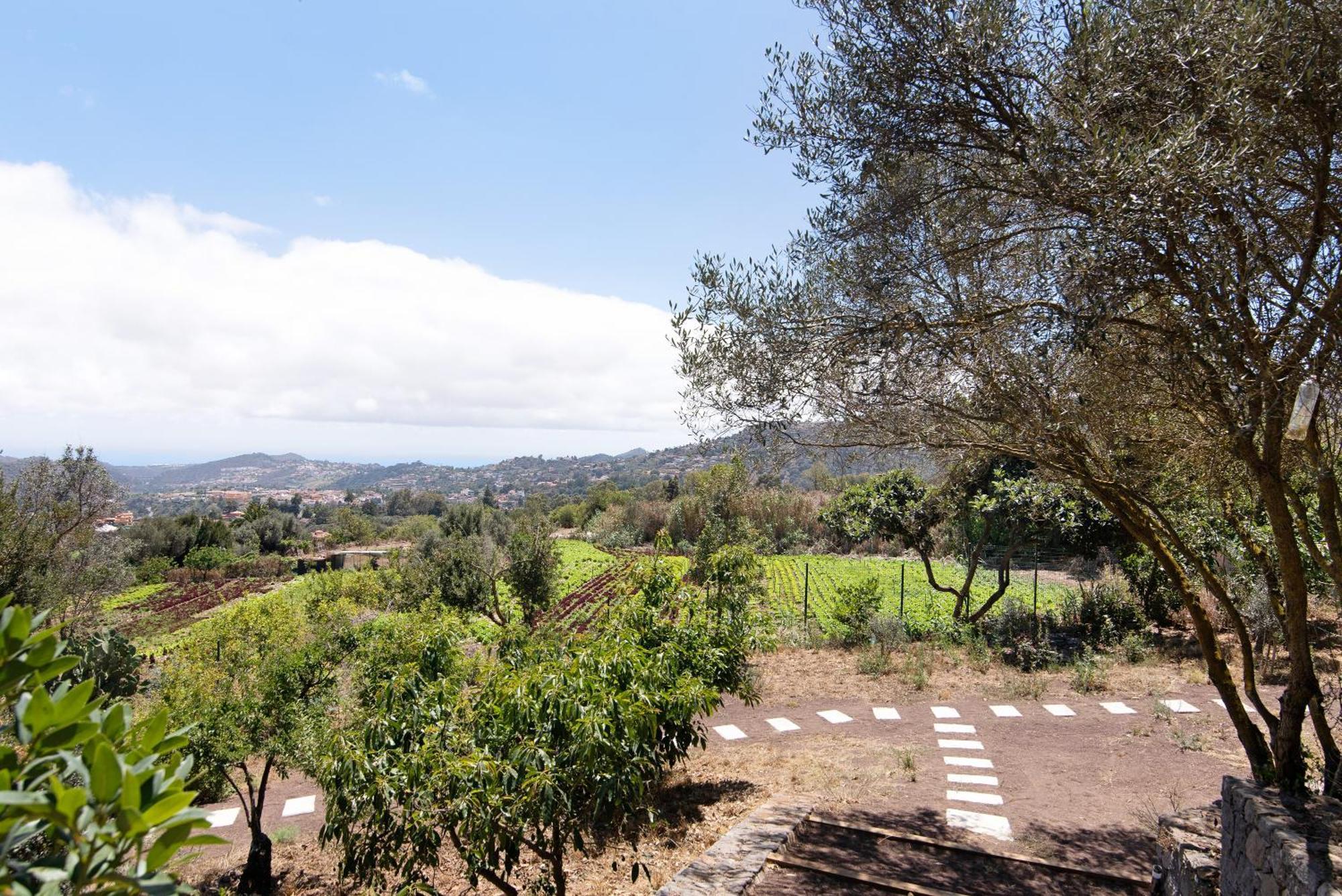 Villa La Casita De La Orilla De Penate Santa Brígida Esterno foto