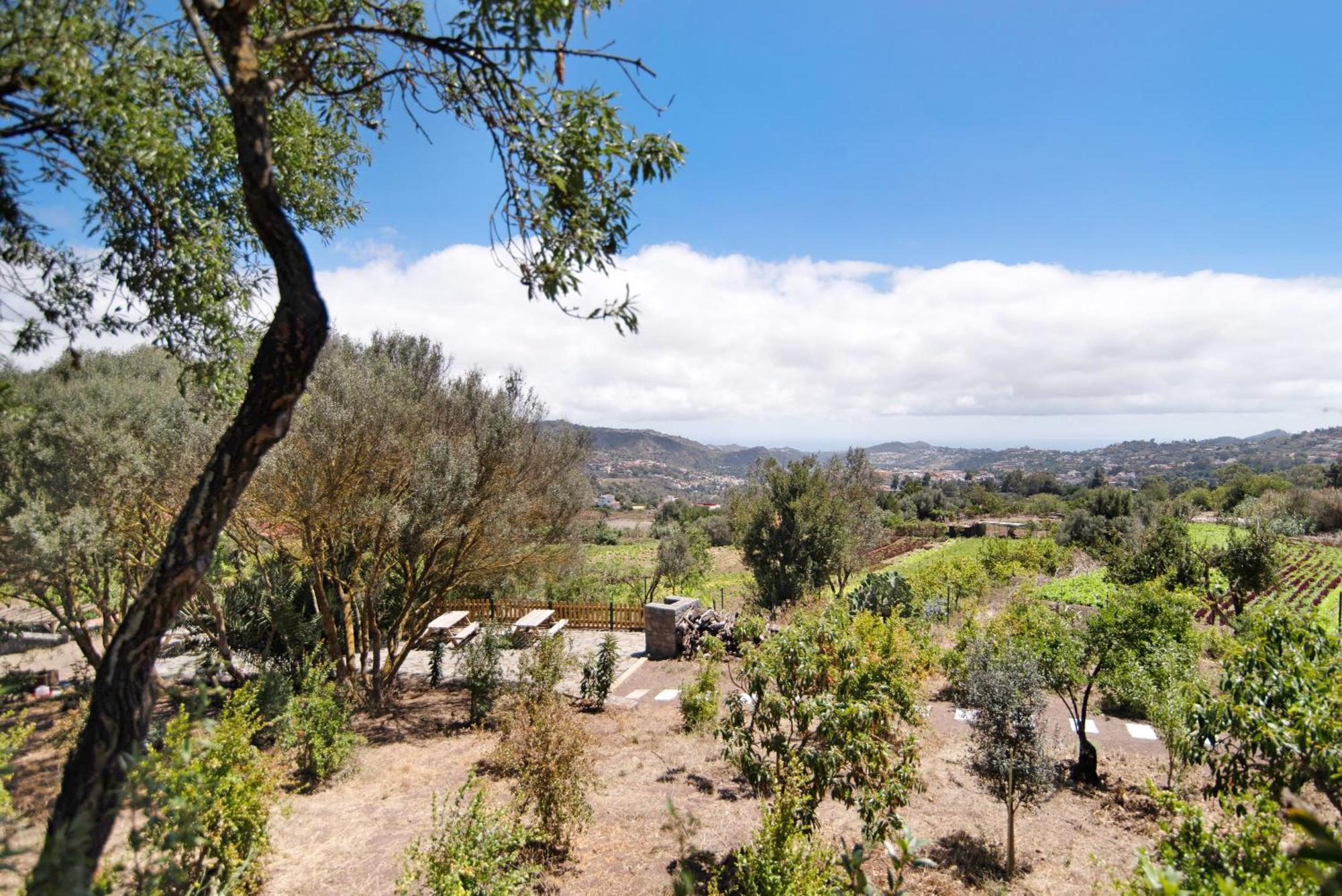 Villa La Casita De La Orilla De Penate Santa Brígida Esterno foto